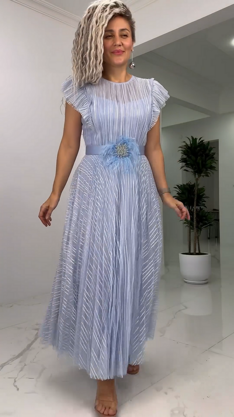 Naysha | Pleated Mesh Midi Dress with Brooch