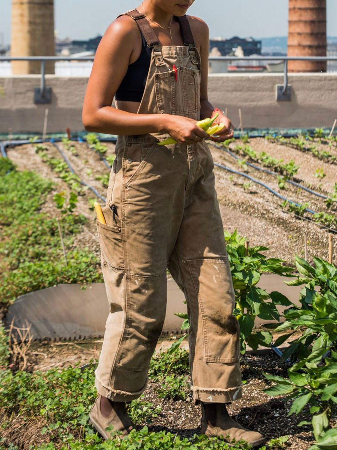 Damaris | Canvas Bib Wide Leg Dungarees
