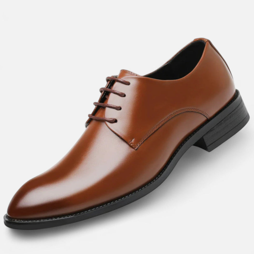 Alexandre | Lace-Up Dress Shoes in Brown and Black