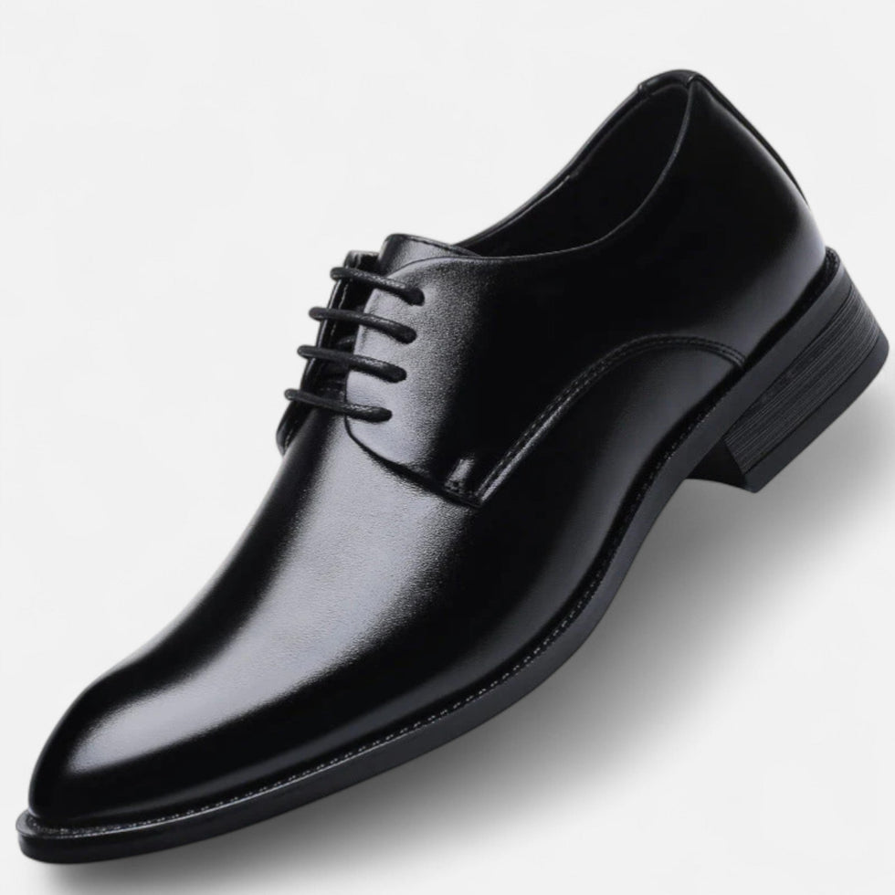 Alexandre | Lace-Up Dress Shoes in Brown and Black